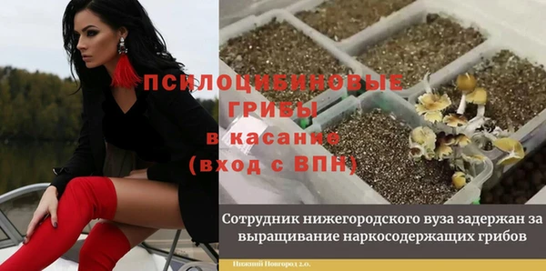 спиды Армянск