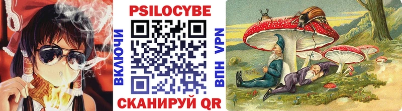 купить закладку  Калязин  Галлюциногенные грибы мицелий 